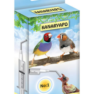 Bird feeding syringe