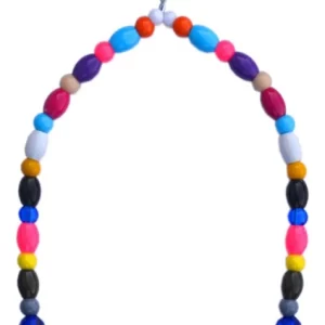 Parakeet colorful swing perch