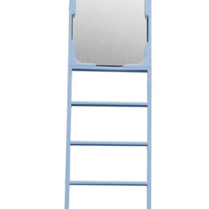 bird cage ladder toy