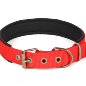 Dog Puppy Buckle Collar Adjustable Nylon Soft Foam Lining Heavy Duty red