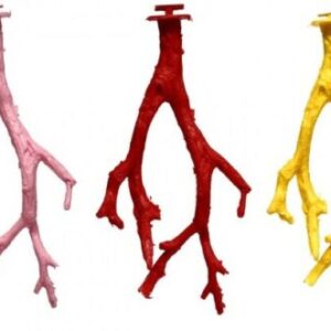 plastic bird cage perches