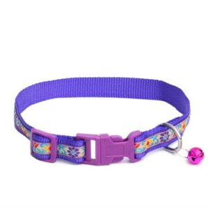 cat kitten collar