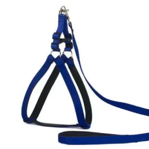 Dog Harness Lead Leash set red