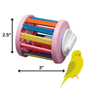 bird spinning toy