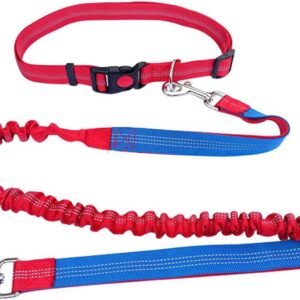 Hands free running dog leash
