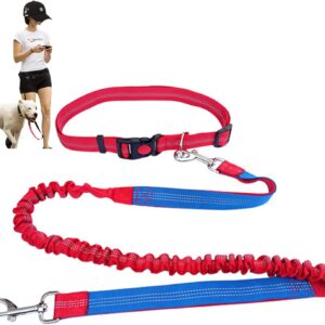 Hands free running dog leash