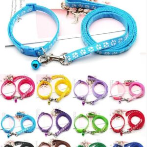 small pet dog cat collar and leash set