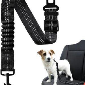 Dog seat belt Bungee