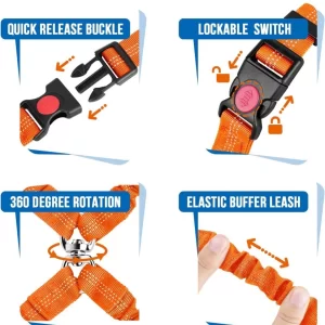 Double Dog Seat Belt Bungee Leash Reflective Adjustable Orange