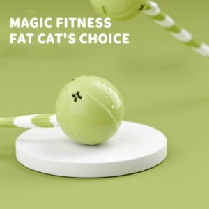 Interactive Cat Toy Teaser Tail Led Light Rechargable