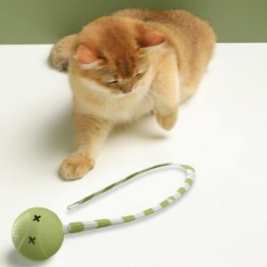 Interactive Cat Toy Teaser Tail Led Light Rechargable