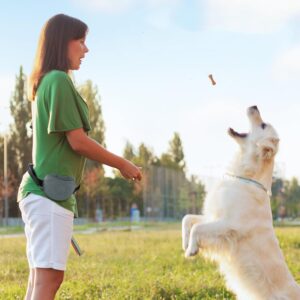 Silicone Dog Treat Pouch with Magnetic Closure Adjustable Belt, BPA-Free Training Treat Bag