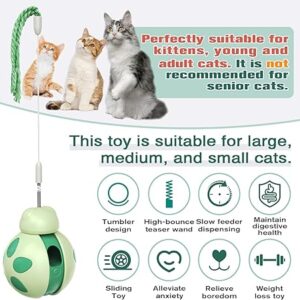 Interactive Cat teaser treat toy